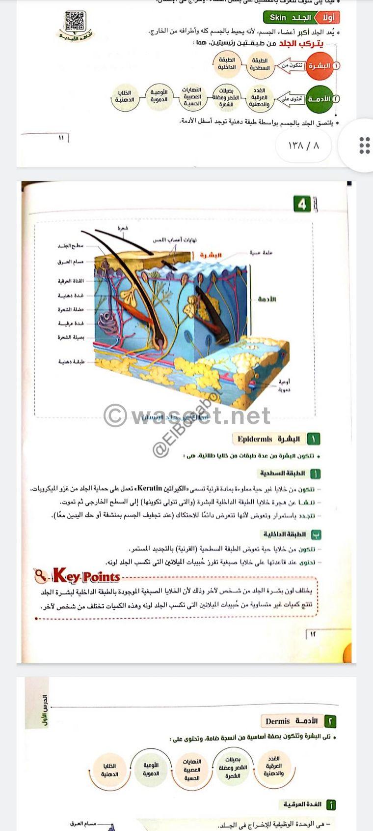 جميع الخدمات الجامعية  2